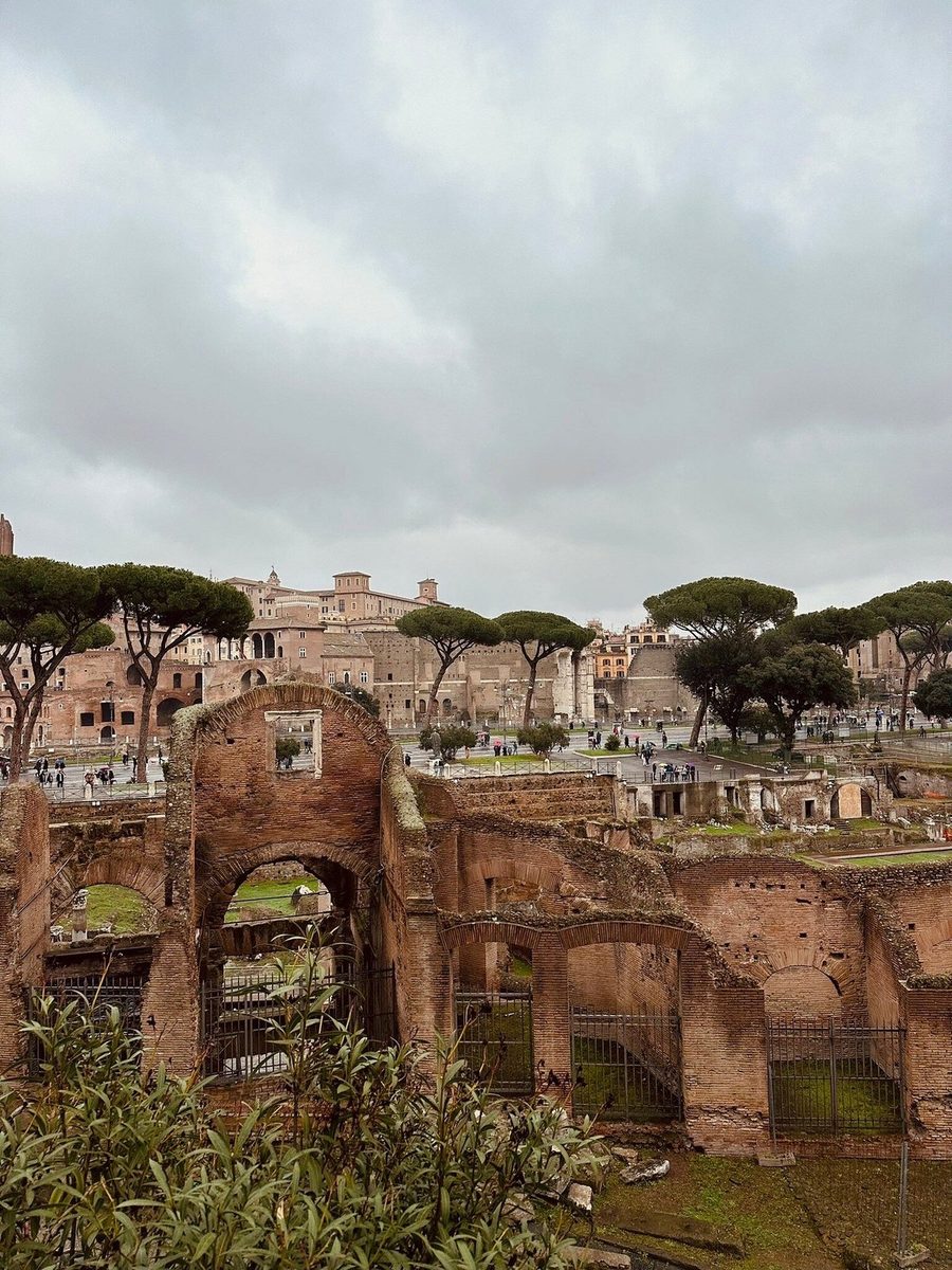 The ruins of the Forum under the umbrella pines